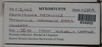 Image Associated With the Occurence